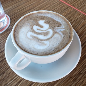 Fundraising Page: Emmy Rajaei